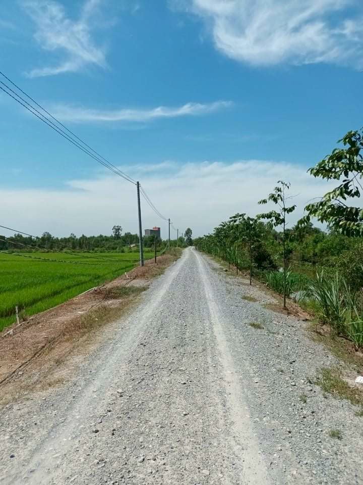 Bán lô đất mặt tiền KCN Trần Anh Tân Phú,đường 10m