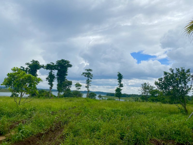 Bán Đất View Hồ 1000m2 Shr Ngay Lâm San, Cẩm Mỹ, Đồng Nai