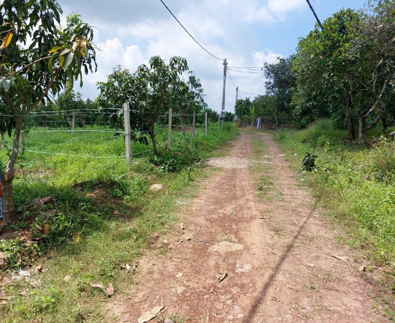 Chính chủ cần bán đất vườn cạnh UBND xã Phú Ngọc ,Định Quán- chỉ 750 triệu/sào