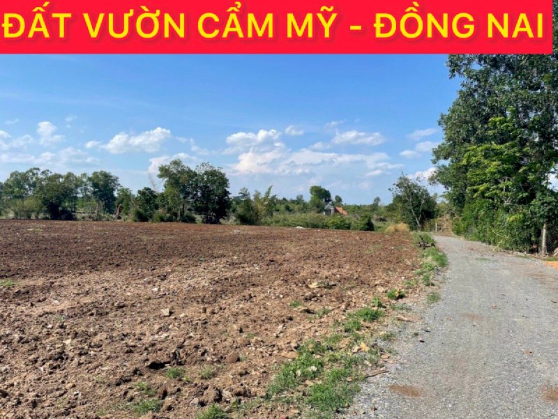 1 lô DUY NHẤT 1236m2 Xuân Đông - Cẩm Mỹ ngay KDC giá chỉ 1,8 tỷ