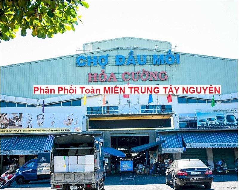 Nhà MT Chợ Đầu Mối, 6 tầng, 100m2, Thang máy KD