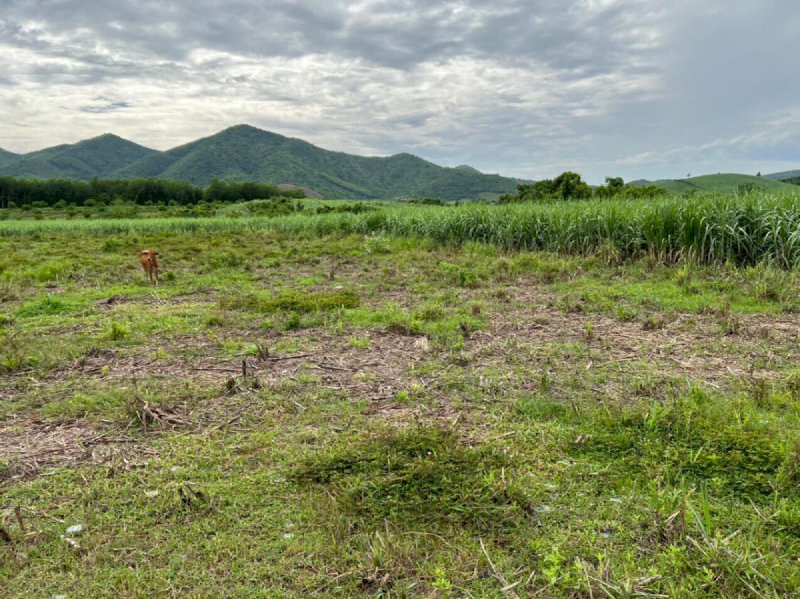 Bán đất vườn gần Tỉnh lộ 6 Ninh Thượng - Ninh Hoà 