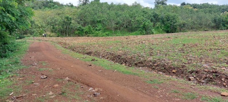 Đất nền giá rẻ Lộc Ninh Bình Phước liền kế KCN Hoa Lư, diện tích hơn 1000m2