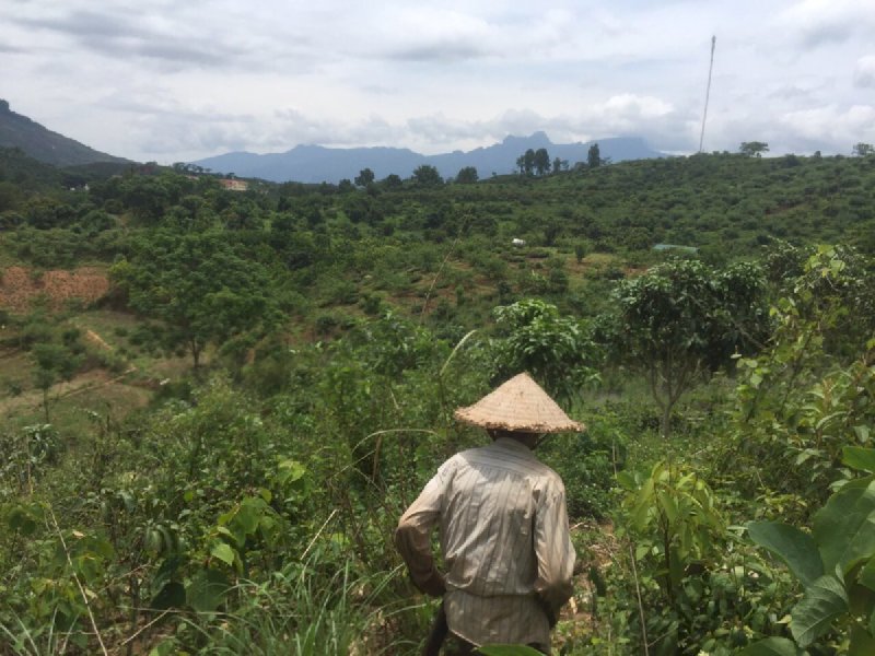 Bán đất Chiềng Sơn, Mộc Châu hướng đi cửa khẩu, 4000m, có thổ cư