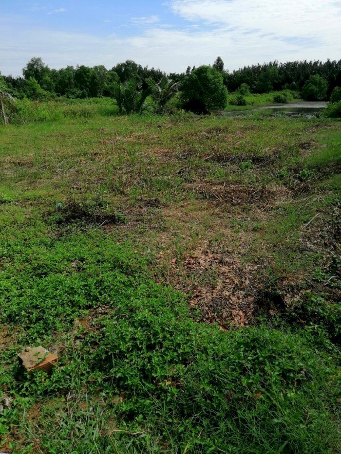 Cần bán gấp 3 lô đất nền sổ hồng riêng tại xã Phước Đông, huyện Cần Đước, t