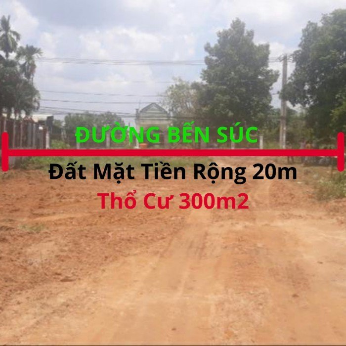 Bán Đất Mặt tiền đường Bến Súc, An Phú, Củ Chi, DT 20 x 60m (thổ cư 300m2)