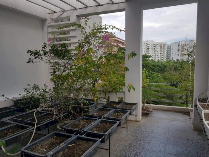 Cho thuê nhà sân vườn 3 tầng 4PN uận Sơn Trà Đà Nẵng