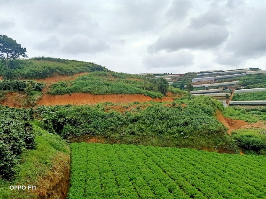 Đất lớn cho nhà đầu tư kinh doanh lớn với gần 1 mẫu đất xuân thọ