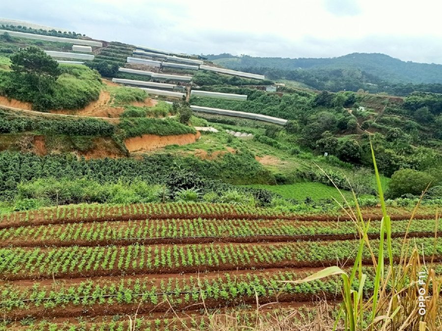 Đất lớn cho nhà đầu tư kinh doanh lớn với gần 1 mẫu đất xuân thọ