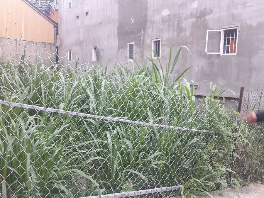 120m2, mặt tiền 6,9m đất xây phòng trọ gần bệnh viện Tỉnh
