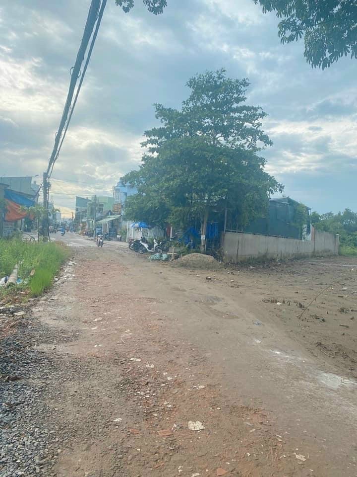 Bán đất thổ cư 66m2 lộ giới 10m đường Trần Nam Phú