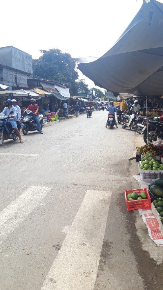 Bán vườn xoài 1 sào 3 đang trổ bông - ngay cầu la ngà - cách ql20 1km.