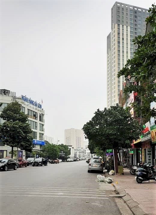 Mặt phố Nguyễn Văn Lộc, Làng Việt Kiều Châu Âu, trục Mulberry