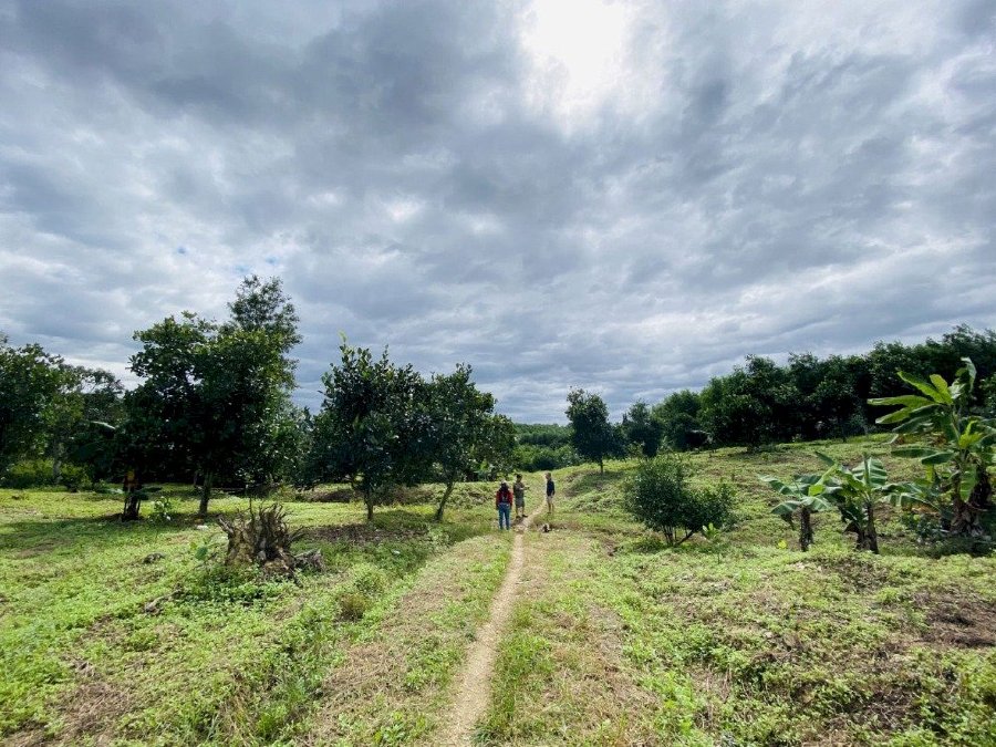 Bán đất Khánh Nam, Khánh Vĩnh, 9000m2, 900tr