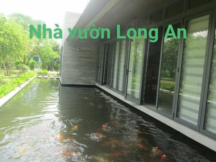 Đất đẹp làm ngôi nhà vườn đẹp Long An