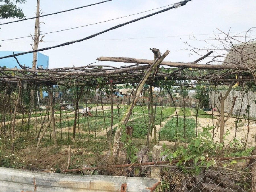 Bán lô đất khối phố Hà Dừa xe oto chạy vi vu
