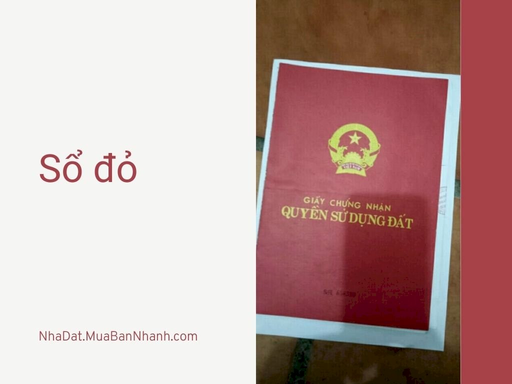 Sổ đỏ là gì? 10 câu hỏi thường gặp về sổ đỏ