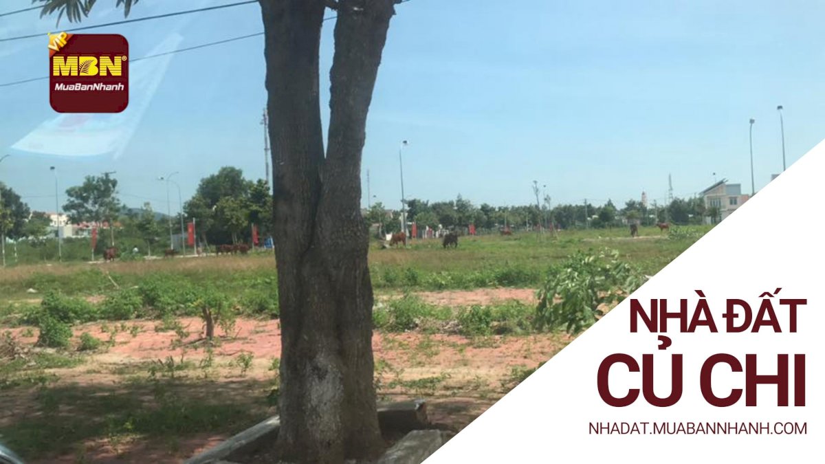 Mua bán nhà đất Củ Chi HCM, Cho thuê nhà, Bất động sản Củ Chi