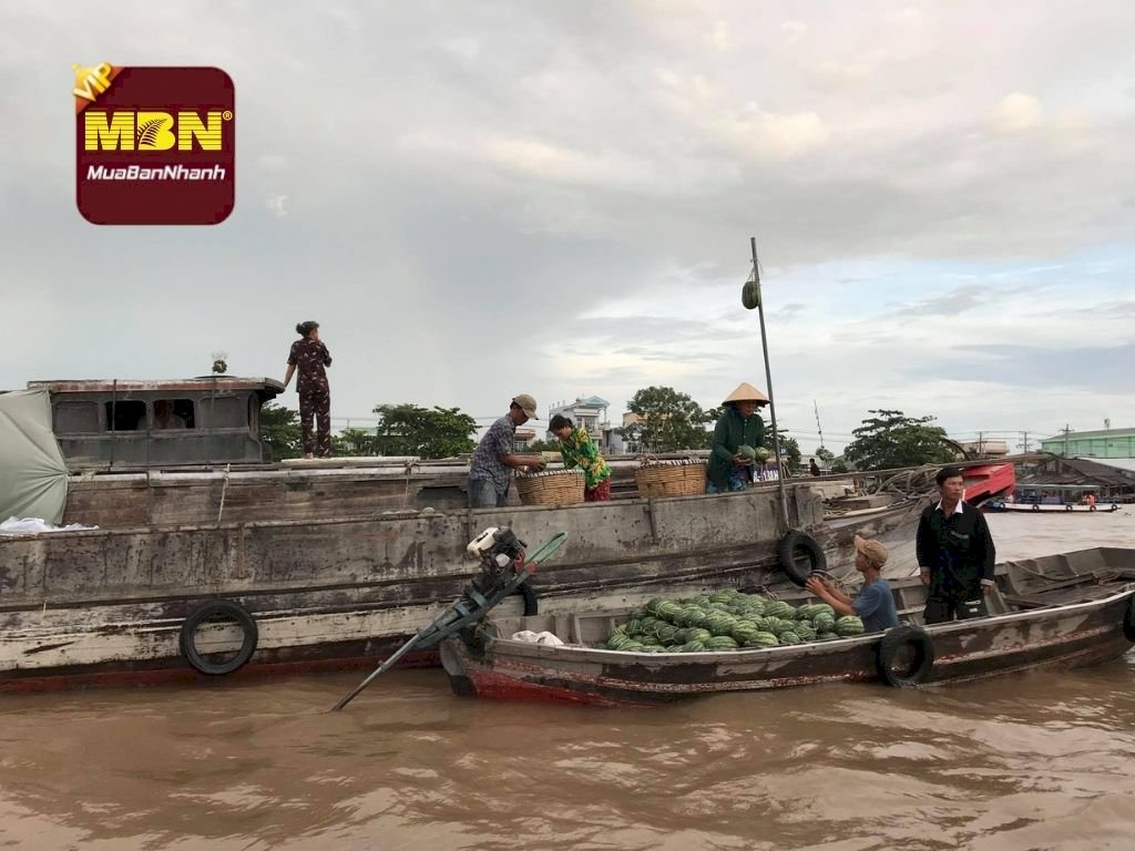 Cần Thơ thông tin 4 dự án lớn ở quận Bình Thủy