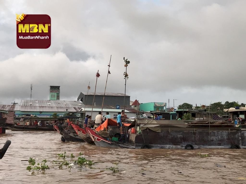 Đại gia bất động sản đổ về miền Tây săn quỹ đất