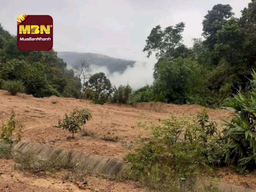 Làm gì để xây được nhà ở trên đất nông nghiệp