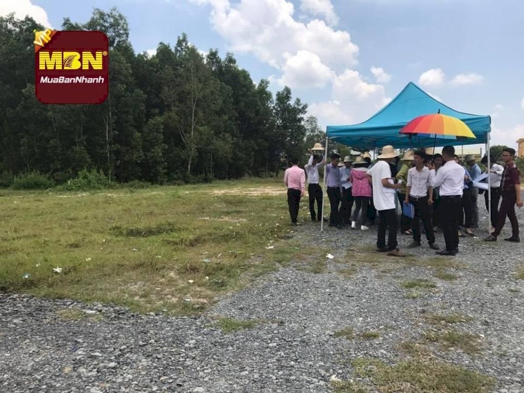 Từ môi giới BĐS bình thường trở thành nhà đầu tư lướt sóng chuyên nghiệp nhờ mánh khóe cò đất