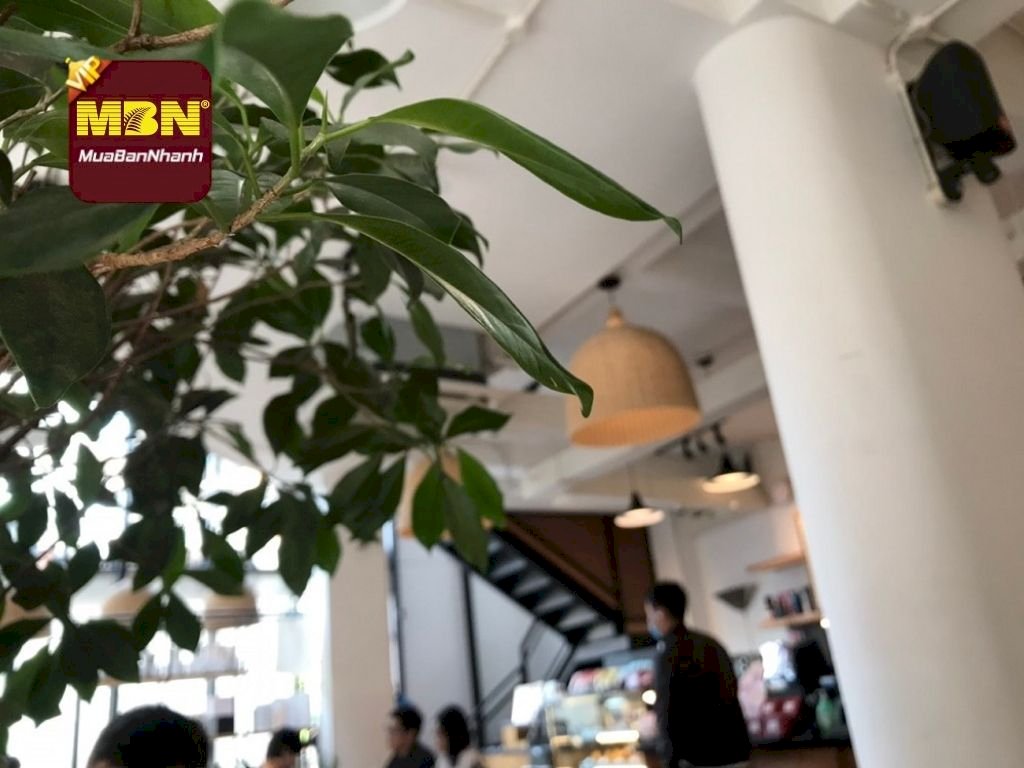 Đừng ký hợp đồng thuê nhà khi chưa biết 7 điều sau