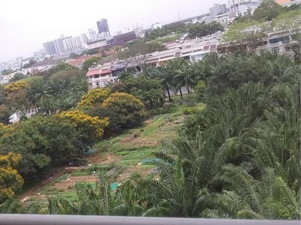 Lo ngại bong bóng khi dòng tiền đổ mạnh vào bất động sản