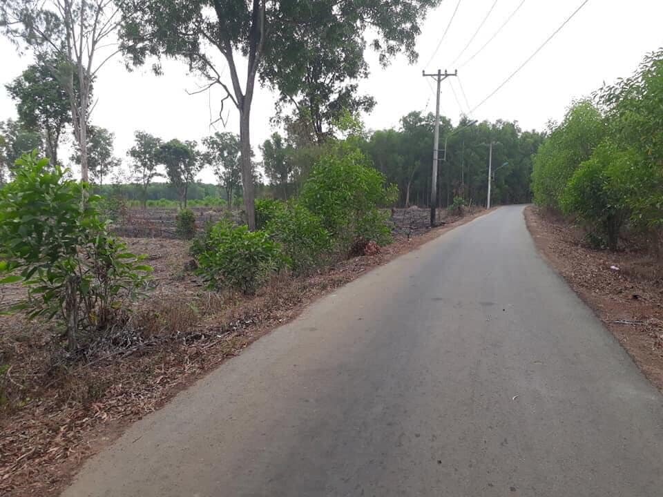 Vì sao giới đầu tư vẫn "săn" đất Nhơn Trạch (Đồng Nai)?