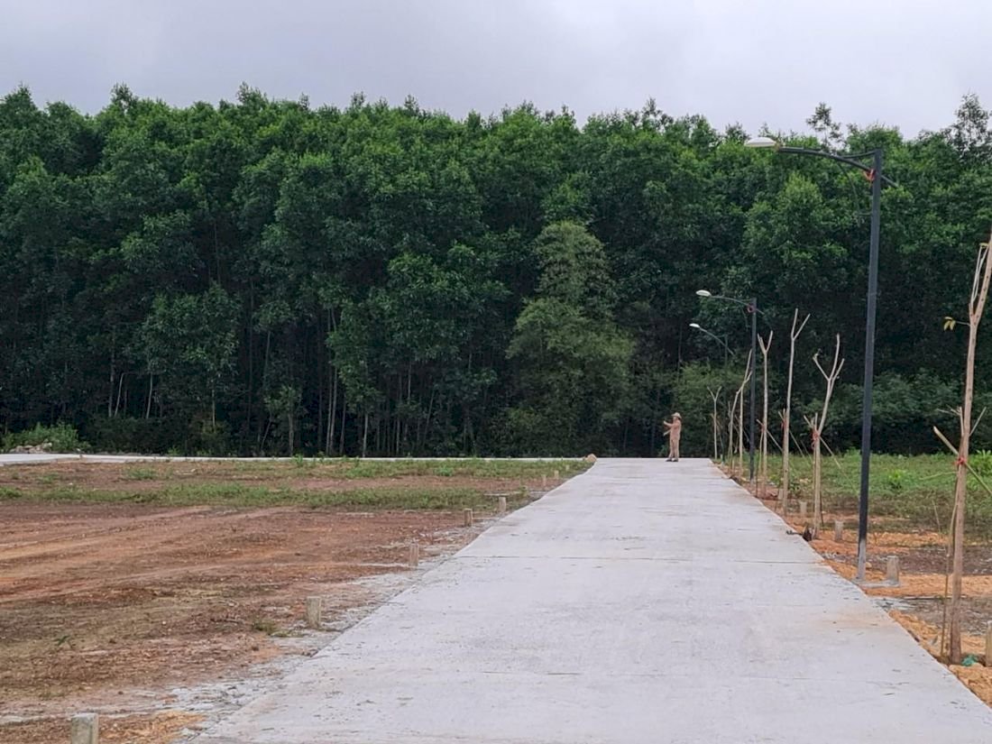 Quảng Trị: Rao bán đất trồng cây thành khu phân lô nghỉ dưỡng trong cơn sốt