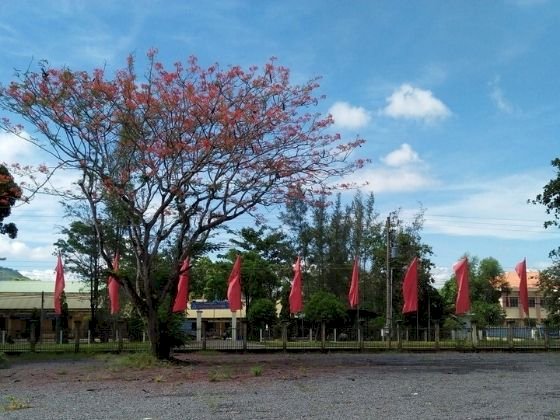 Bất động sản Quảng Trị bứt tốc nhờ chính sách hút vốn đầu tư