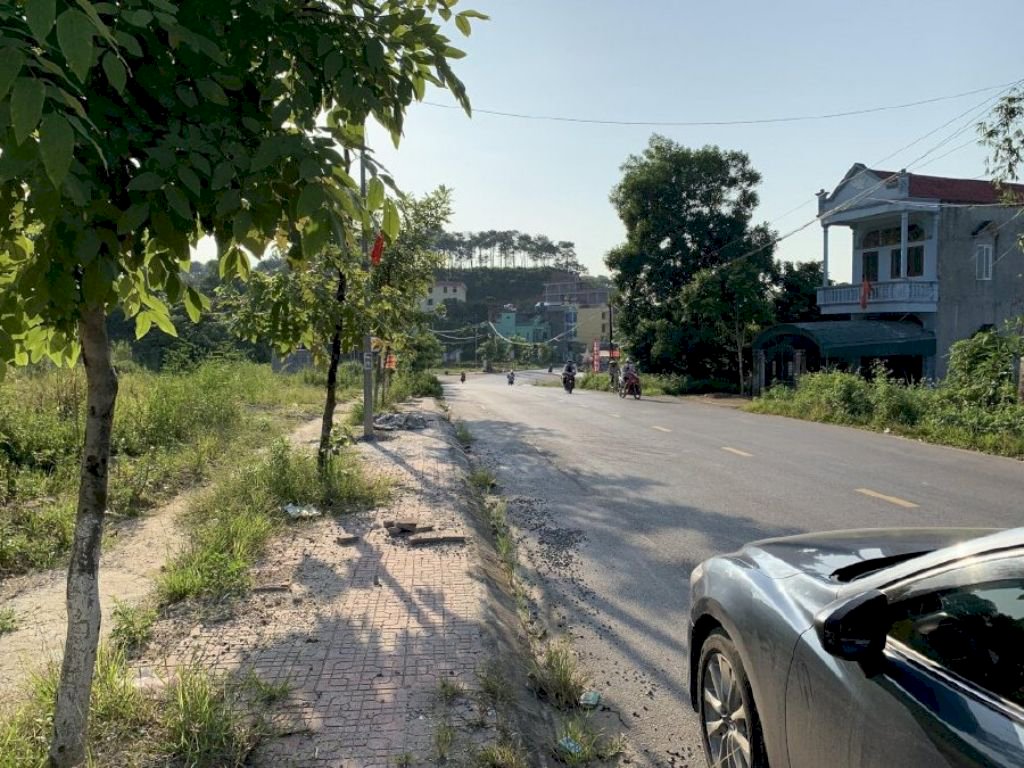 Vân Đồn cho phép tách thửa đất trở lại