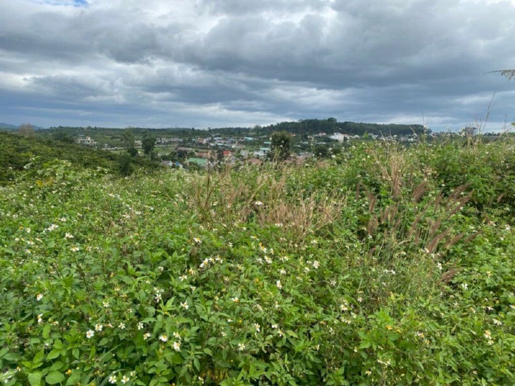 Lâm Đồng đặt mục tiêu đưa huyện Đức Trọng trở thành đô thị loại IV vào năm 2035