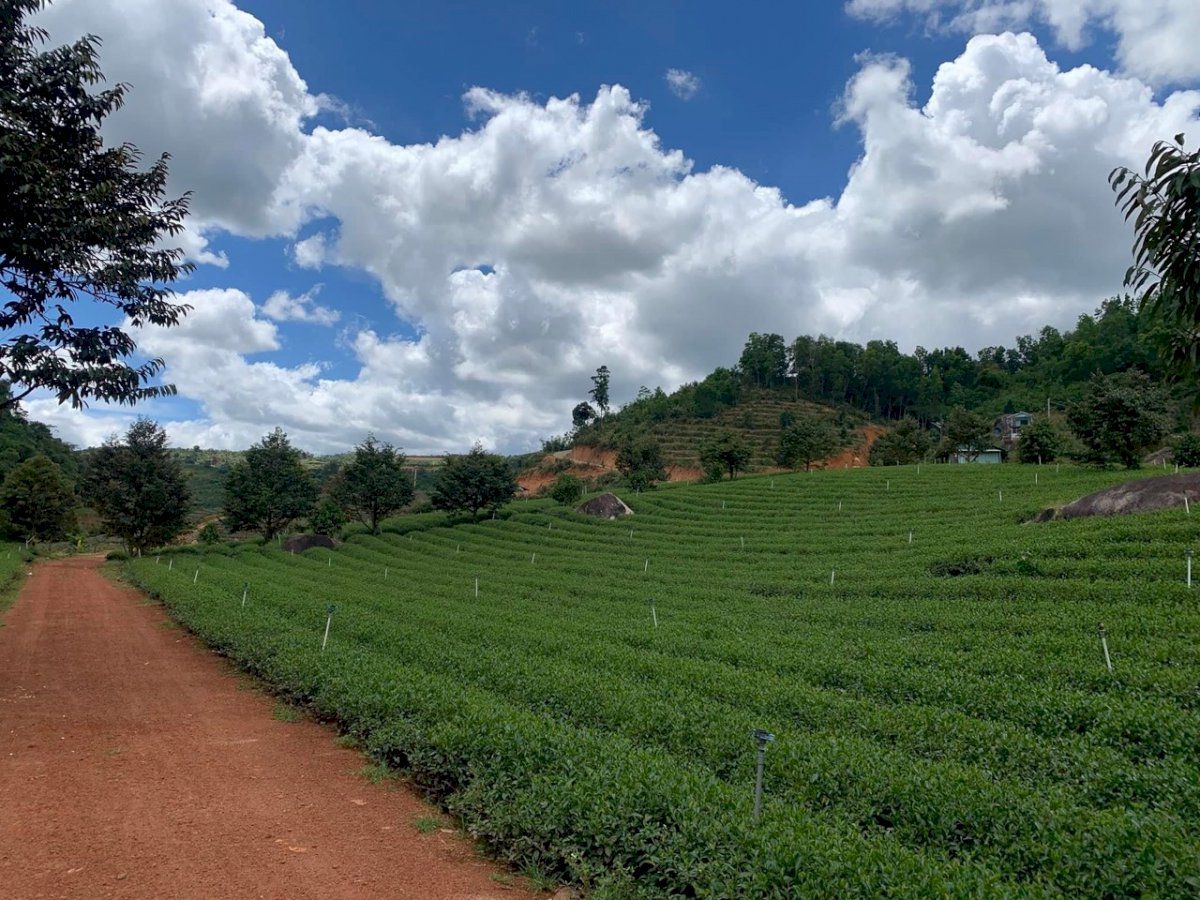 Đất vườn vẫn sốt xình xịch, có nơi cầm 3 tỉ không mua được 1.000m2